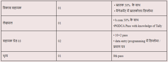 Bijapur Mineral Department various post Online form 2025