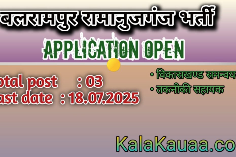Development Block Coordinator and Technical Assistant vacancy Balrampur