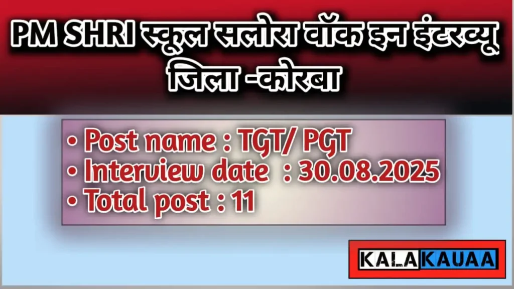 PM SHRI JNV SCHOOL SALORA KORBA WALK IN INTERVIEW 