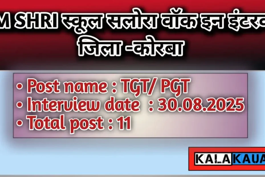PM SHRI JNV SCHOOL SALORA KORBA WALK IN INTERVIEW