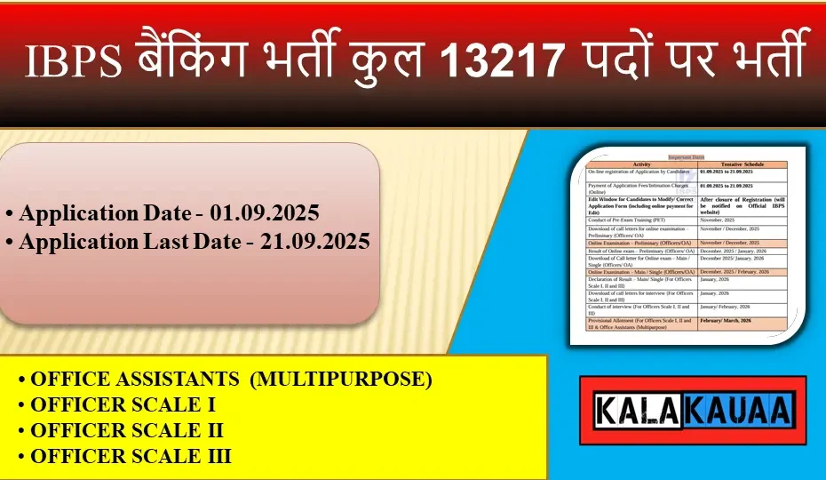 IBPS RRB Vacancy 2025 Total 13217 Post