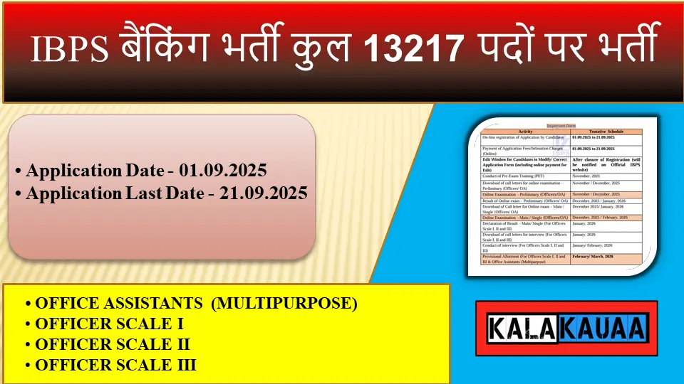 IBPS RRB Vacancy 2025 Total 13217 Post
